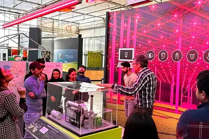 university of applied sciences europe ue amsterdam deadline